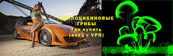 гашик Киренск