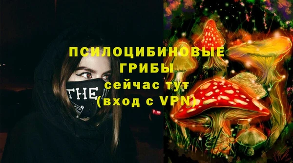 гашик Киренск