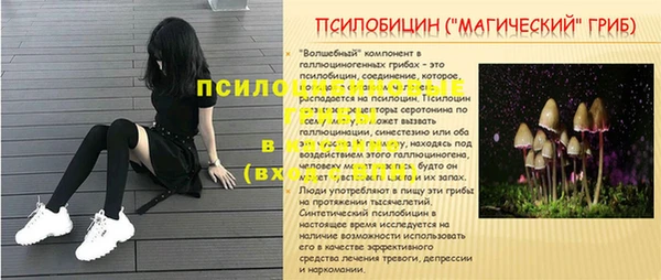 mdpv Киреевск